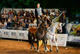 Tutto esaurito per il gala equestre della 56a Mostra Nazionale del Cavallo