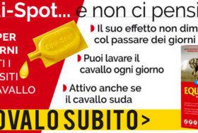 Approfitta degli Sconti Extra fino -15%. Nuovamente disponibili Repellenti Farnam per Cavalli