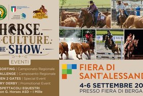 Il cavallo protagonista alla Fiera di Sant’Alessandro: