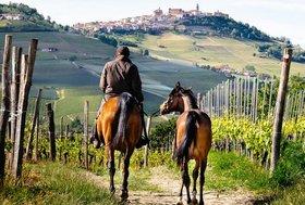 Turismo rurale con il cavallo: da Padova un laboratorio nazionale tra imprese e istituzioni