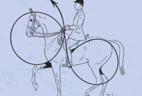 Equitare Edizioni vi invita alla lettura del nuovo libro ANDATURE E SENSAZIONI
