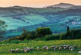 La Zootecnia estensiva come modello per la salvaguardia e la tutela del Territorio Toscano