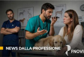 Anatomia di un autogol: quanto ci costa (davvero) passare per “quelli bravi”?