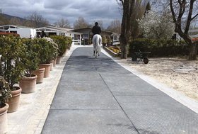 Cavalli che scivolano?