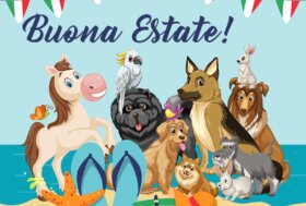 Una Buona Estate e Buon Ferragosto! Festeggiali con i nostri Sconti