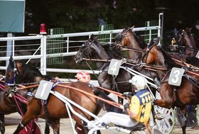 Ippodromo di Cesena: sabato 29 agosto, clou per tre anni con La Commerciale Agricola