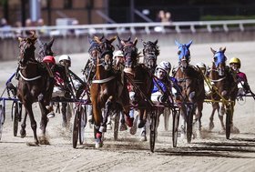 Ippodromo di Cesena: venerdì 28 agosto, la corsa tris e due prove “clou” per un convegno di qualità