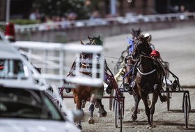 Ippodromo di Cesena: 1° settembre con sette corse dalle 20:45