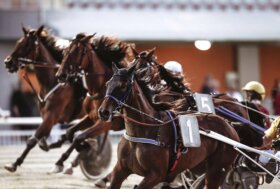 Ippodromo di Cesena: venerdì 21 agosto sette corse e TQQ, dalle 20:45