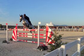 Salto ostacoli: 10 nazioni al Sardegna Jumping Tour CSI 3* che Inizia mercoledì a Tanca Regia