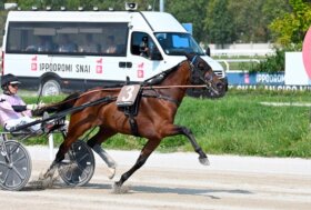 Breeders Course nel segno di Leonida e Liberty Gio nel martedì di trotto all’ippodromo Snai San Siro