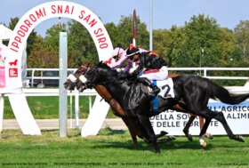 All’ippodromo Snai San Siro il mercoledì di galoppo con la ‘Reginetta’ Piccola Piuma che non fatica nel Premio Brivio Sforza