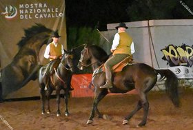 Bilancio positivo per la 56a Mostra Nazionale del Cavallo di Città di Castello