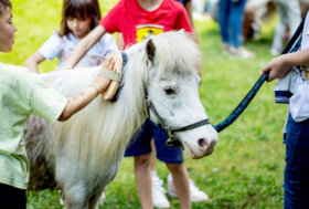 La Voce del Cavallo: la Fondazione Giusi Pesenti Calvi alla terza edizione