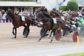 Ippodromo Arcoveggio Bologna, giovedì – PREMIO TACAMBARO
