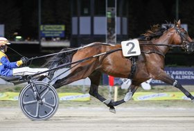 Ippodromo di Cesena: a Dali Prav l’Europeo 2026