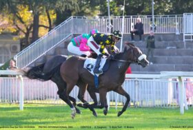 All’Ippodromo Snai San Siro il mercoledì di galoppo dedicato a Falbrav e alle sue imprese in carriera regala ai cavalli di 2 anni Flower of Cotai e Cento K il successo nella maiden sui 1800 e nella condizionata sui 1200 metri.