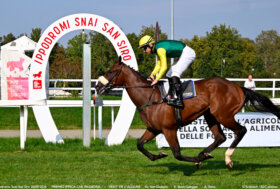 All’ippodromo Snai San Siro Dream Sea liscio nella condizionata per i 2 anni del Premio Dormelletto. Nel TQQ del Premio Io, Ribot, tutto facile per Admirals Arch