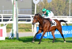 All’Ippodromo Snai San Siro mercoledì di galoppo con il quintè del Premio Furia vinto da un arrembante Sovereign Thought, mentre Rainmaker firmava l’Italo Bianchi.