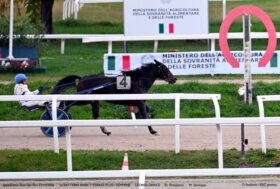All’Ippodromo Snai San Siro di Milano il venerdì di trotto con al centro le tre batterie A.N.A.C.T. Stakes Plus+: