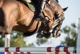 Federico Ciriesi e Gregorio Zucchini Affronti a Oslo in Coppa del Mondo. A Rabat il Team Italia nello CSIO.