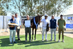 Sport equestri e allevamento: Issed Baia AA e Istella Oroteddesa vincono il 64° Premio Regionale Sardo