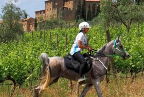 Martina Pisano nella long list in vista della FEI Endurance World Championship 2026