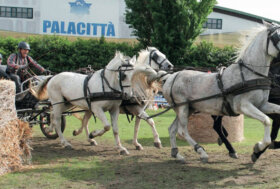 Attacchi: Sport a tutto campo “Nel cuore di tutti!”
