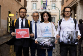 Consegnate in Senato oltre 62 mila firme certificate per chiedere il divieto per le gabbie negli allevamenti italiani. Le associazioni: «Non ci fermeremo finché non ci sarà una legge»