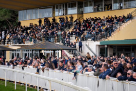 Ippodromo San Rossore: riapre giovedì 29 ottobre, prima giornata di una stagione che si protrarrà fino a domenica 4 aprile 2027 quando si disputerà il 137° premio Pisa.