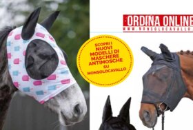 Insetti e stress estivo: quale maschera antimosche scegliere?