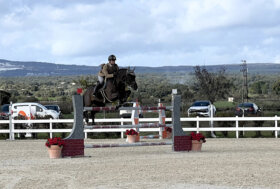 Salto ostacoli: fine settimana a Tanca Regia con il Campionato del Cavallo Sardo, 230 binomi in gara