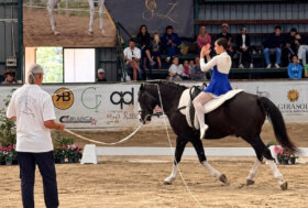 Successo per la Coppa delle Regioni di Volteggio 2026